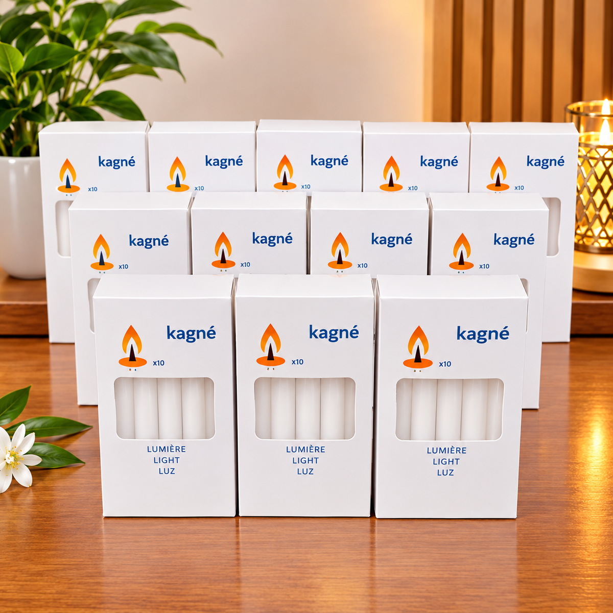 25 lots  (250 Bougies)